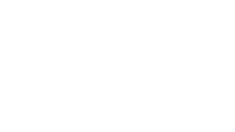 MSO Borrachas
